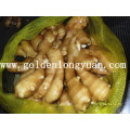 Fresh Ginger 100g&up Packed in 20kg Mesh Bag (add extra 2kg)